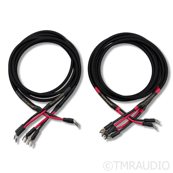 Audience Conductor Bi-Wire Speaker Cables; 1.75m Pair