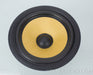 B&W CDM-1 Bass Driver