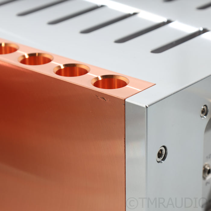 Dan D'Agostino M400 MXV MonoBlock Power Amplifier; Pair