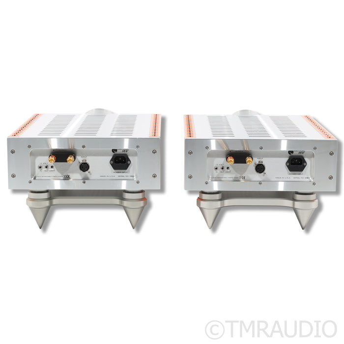 Dan D'Agostino M400 MXV MonoBlock Power Amplifier; Pair