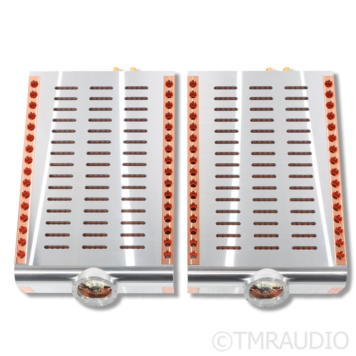 Dan D'Agostino M400 MXV MonoBlock Power Amplifier; Pair