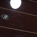 Sonus Faber Gravis VI 12" Subwoofer; Wenge