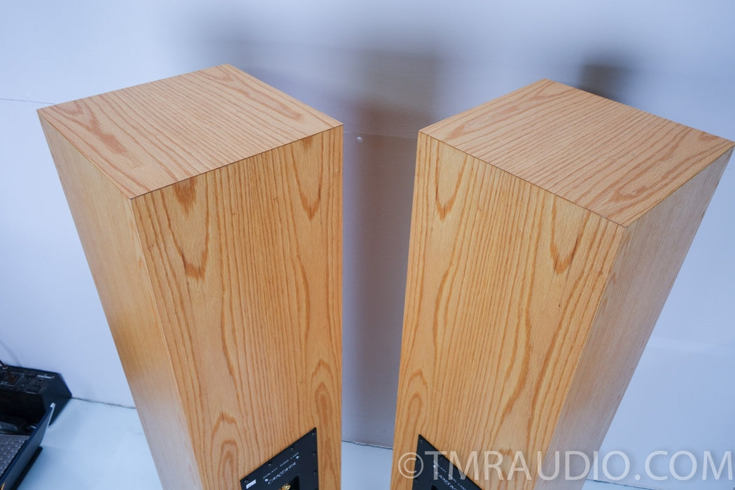 Dunlavy Cantata Floorstanding Speakers