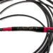 Audience Studio TWO Speaker Cables; 10ft Pair