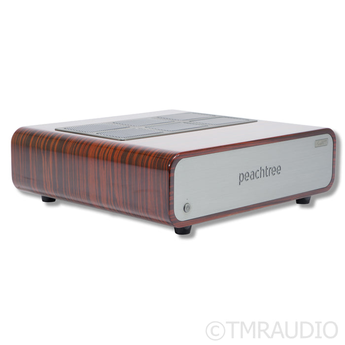 Peachtree Audio GaN400 Stereo Power Amplifier