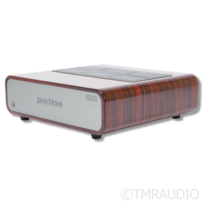 Peachtree Audio GaN400 Stereo Power Amplifier