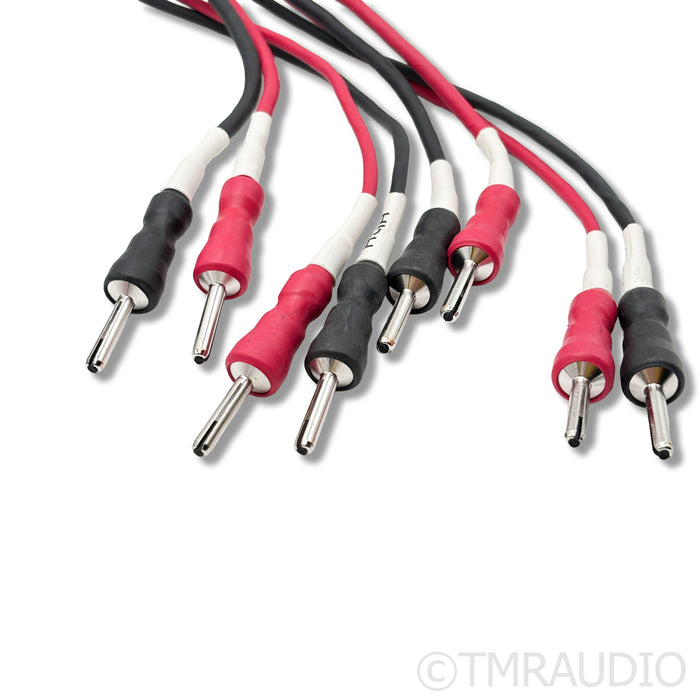 Cardas Clear Cygnus Bi-Wire Speaker Cables; 2m Pair