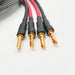 Audience AU24 SX Speaker Cables; 4.5m Pair (Open Box)