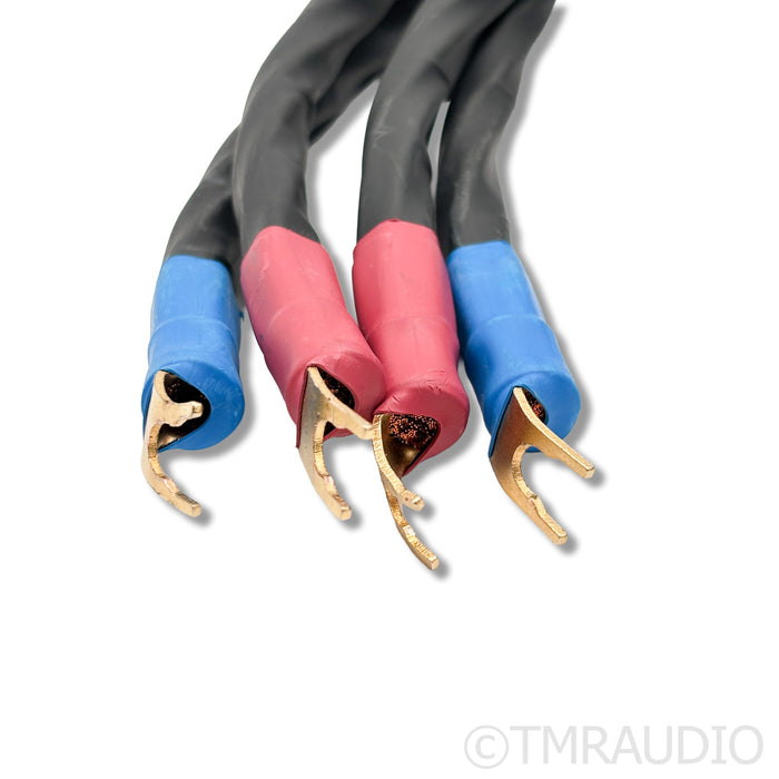 Kubala-Sosna Emotion Speaker Cables; 2.5m Pair