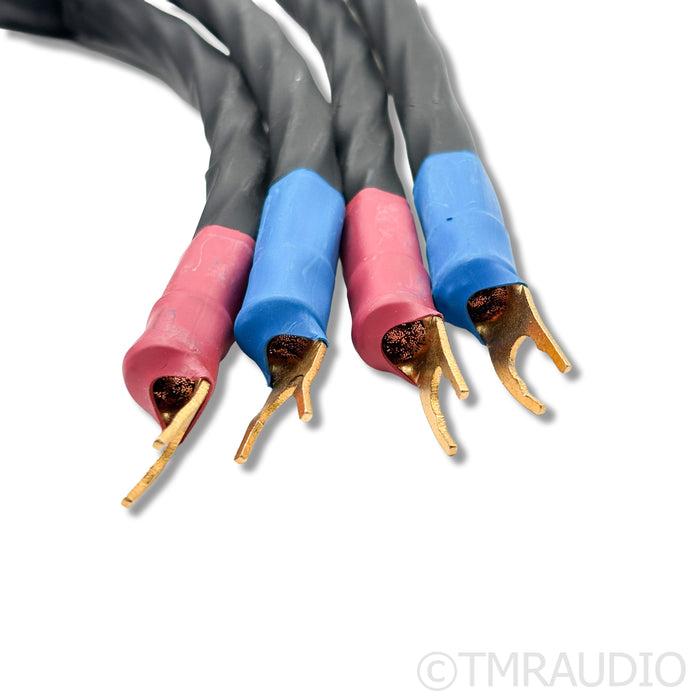 Kubala-Sosna Emotion Speaker Cables; 2.5m Pair