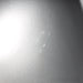 Vivid Audio Oval V1.5 Floorstanding Speakers; Silver Pair