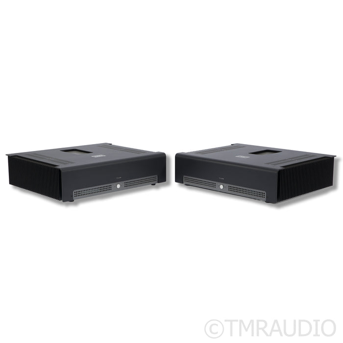 Schiit Audio TYR MonoBlock Power Amplifier; Black Pair