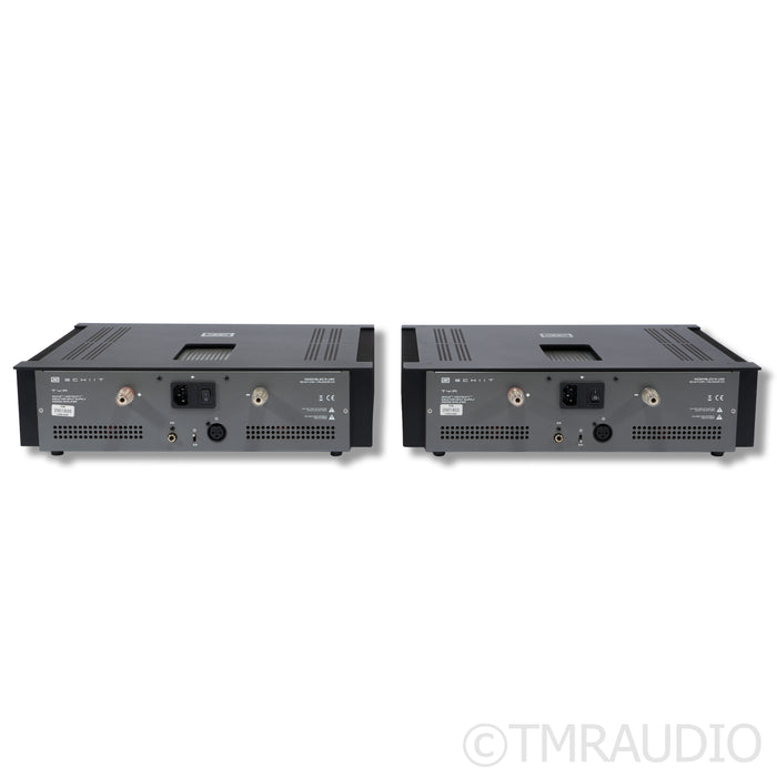 Schiit Audio TYR MonoBlock Power Amplifier; Black Pair