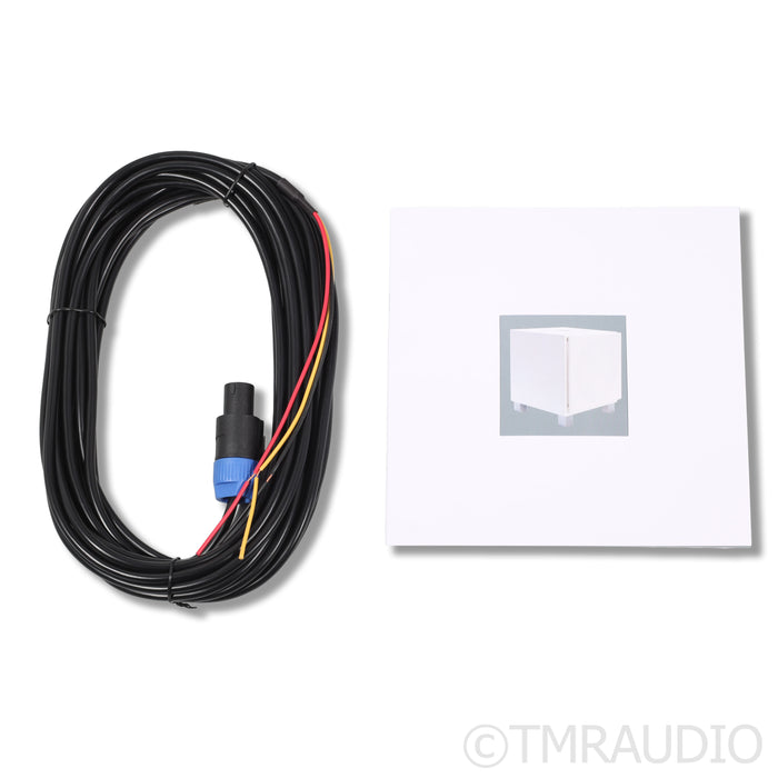 REL Acoustics T/9x 10" Subwoofer