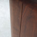 Chario Constellation Delphinus MKII Bookshelf Speakers; Walnut Pair (1/1)