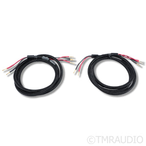Straight Wire Expressivo Grande II Speaker Cable; 8ft Pair