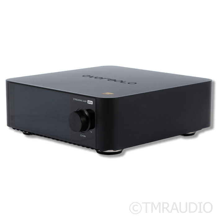 Eversolo Audio Play (Non CD Edition) Integrated Amplifier
