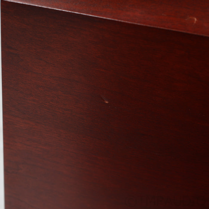 Martin Logan ESL Renaissance 15A Floorstanding Speakers; Rosewood Pair