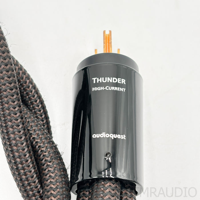 AudioQuest Thunder High-Current Power Cable; 2m