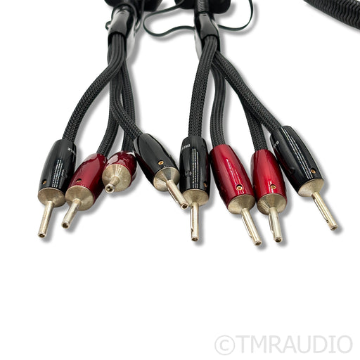 AudioQuest Colorado RCA Cables; 5ft — The Music Room