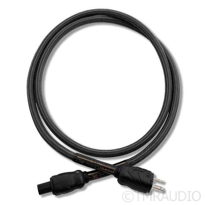 Audience powerChord SE-i Power Cable; 6ft