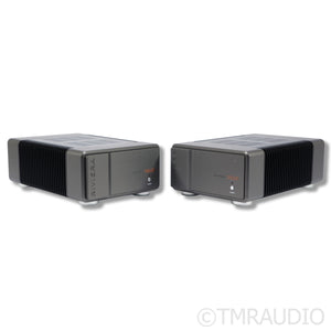 Riviera Labs AFM-25 MonoBlock 25 Watt Class A Hybrid Amplifier Pair