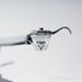Rega Planar 10 Belt-Drive Turntable with Rega Apheta 3 MC Cartridge