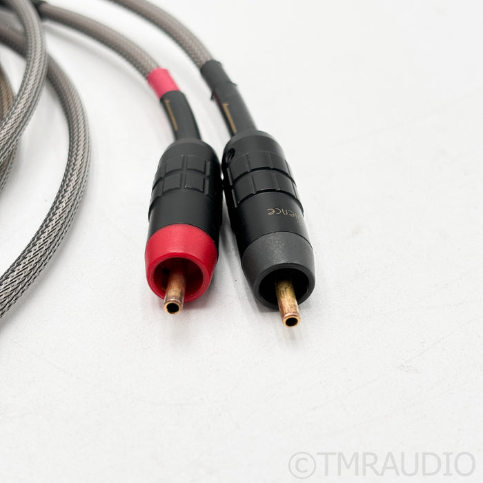 Audience Au24 SX RCA Interconnects; 2m Pair