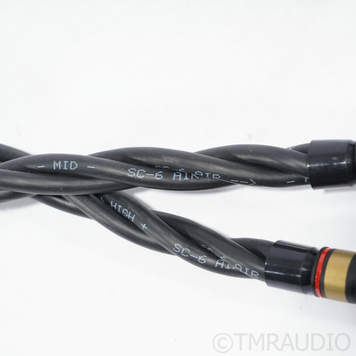 ViaBlue SC-6 AIR Speaker Cables; 2.5m