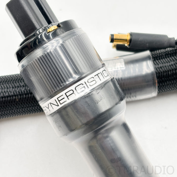 Synergistic Research Atmosphere X Euphoria Level 3 Power Cable; 5ft