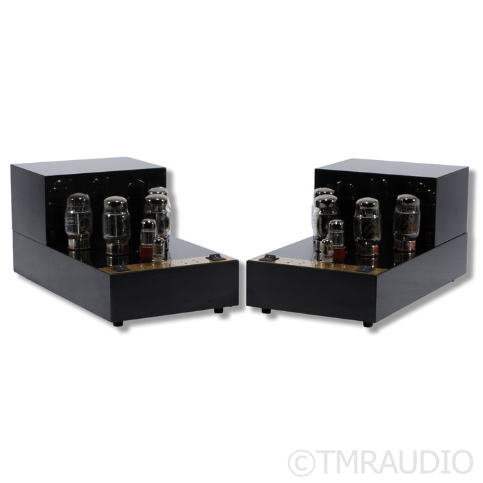 VAC Standard MonoBloc 160 Power Amplifier; Pair