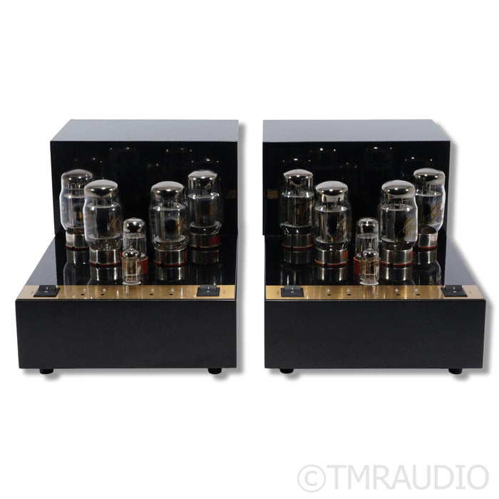 VAC Standard MonoBloc 160 Power Amplifier; Pair