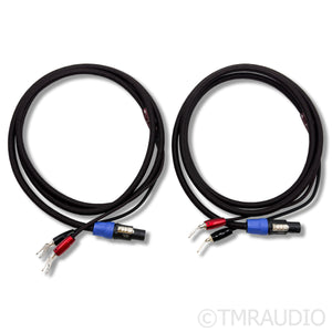 AudioQuest Type 9 Speaker Cables; 8ft Pair (1/1)