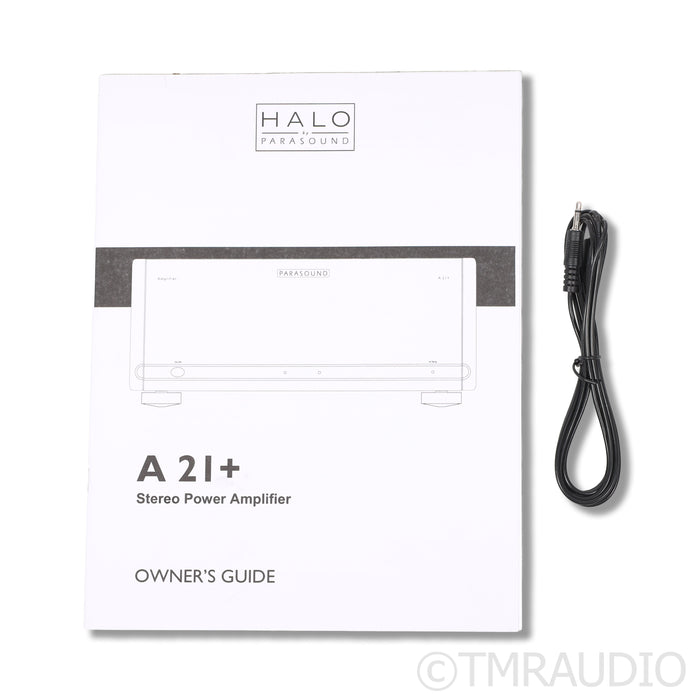 Parasound Halo A21+ Power Amplifier (3/3)