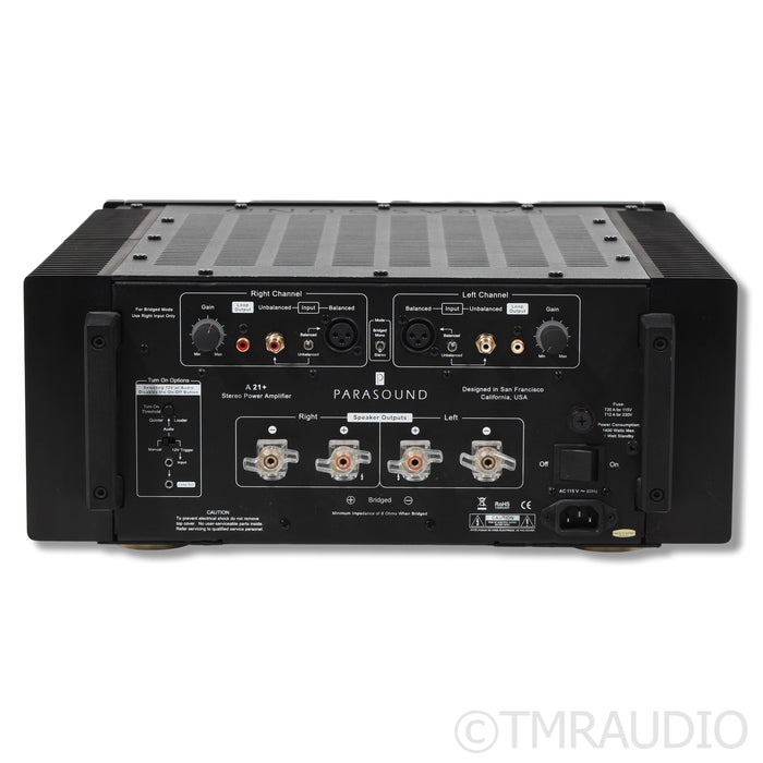 Parasound Halo A21+ Power Amplifier (3/3)