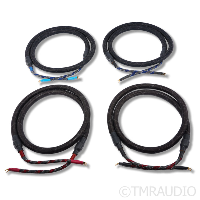 Cerious Technologies Lumniscate Speaker Cables; 8ft Pair