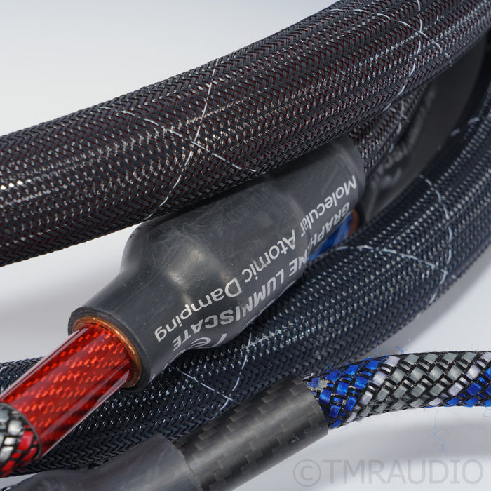Cerious Technologies Lumniscate Speaker Cables; 8ft Pair