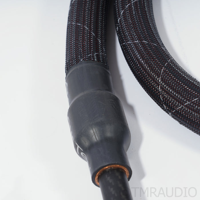 Cerious Technologies Lumniscate Speaker Cables; 8ft Pair