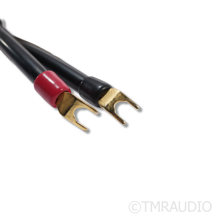 Transparent Audio MusicWave Plus Speaker Cables; 8ft Pair