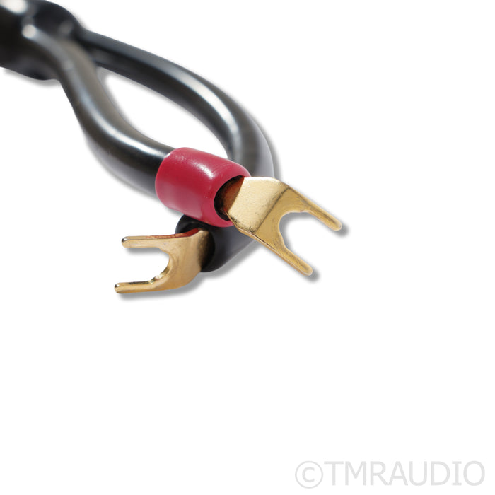 Transparent Audio MusicWave Plus Speaker Cables; 8ft Pair