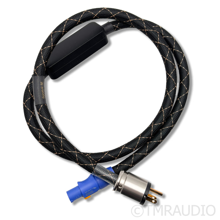 Audience AdeptResponse aR12 AC Power Line Conditioner; w/ Signature SE Cable