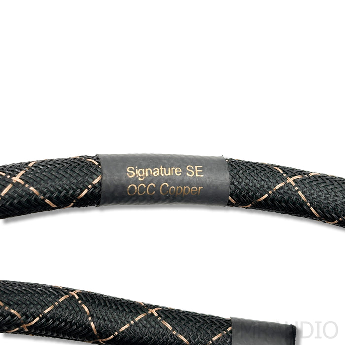 Audience AdeptResponse aR12 AC Power Line Conditioner; w/ Signature SE Cable
