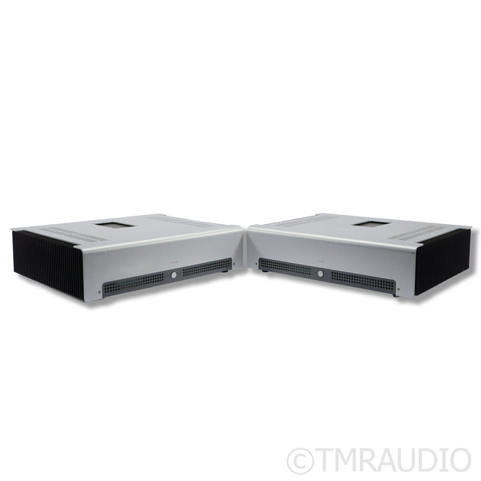Schiit Audio TYR MonoBlock Power Amplifier; Pair