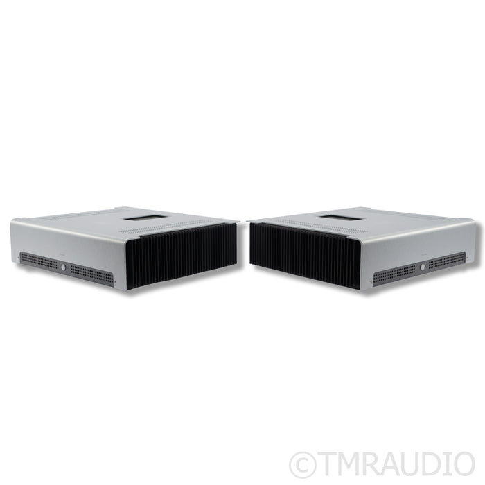 Schiit Audio TYR MonoBlock Power Amplifier; Pair
