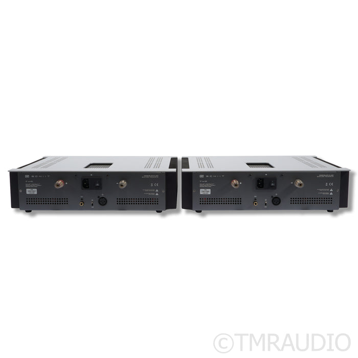 Schiit Audio TYR MonoBlock Power Amplifier; Pair