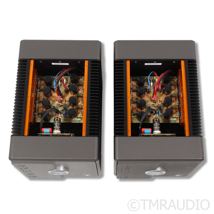 Riviera Labs AFM-50 Class-A Hybrid MonoBlock Power Amplifier; Pair