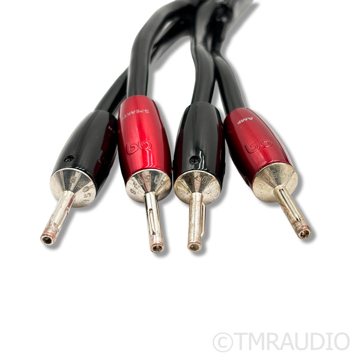 AudioQuest Rocket 44 Speaker Cables; 10ft Pair