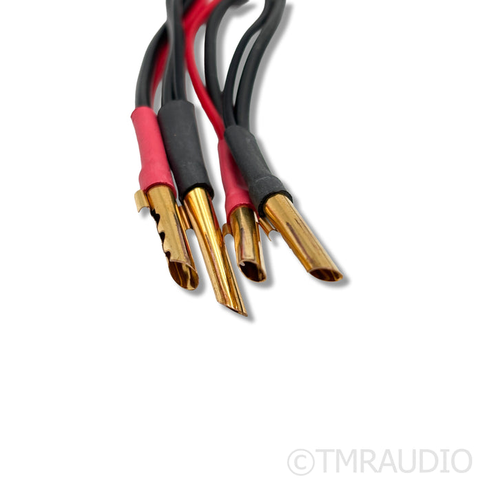 Auditorium 23 A23 Speaker Cables; 2.5m Pair