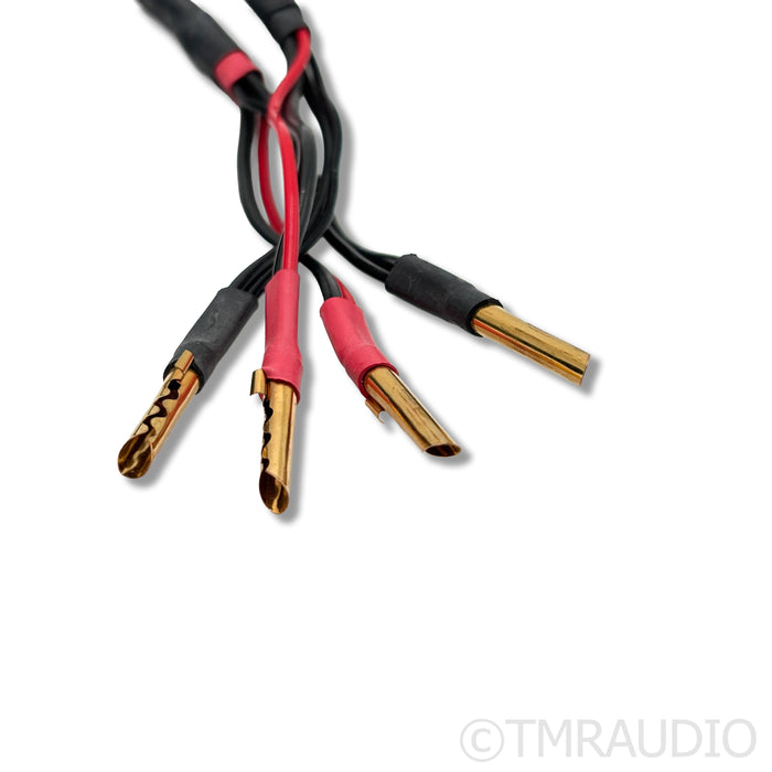 Auditorium 23 A23 Speaker Cables; 2.5m Pair