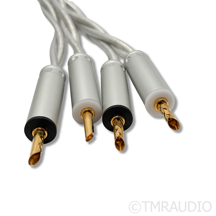 Ansuz Speakz X2 Speaker Cables; 2.5m Pair